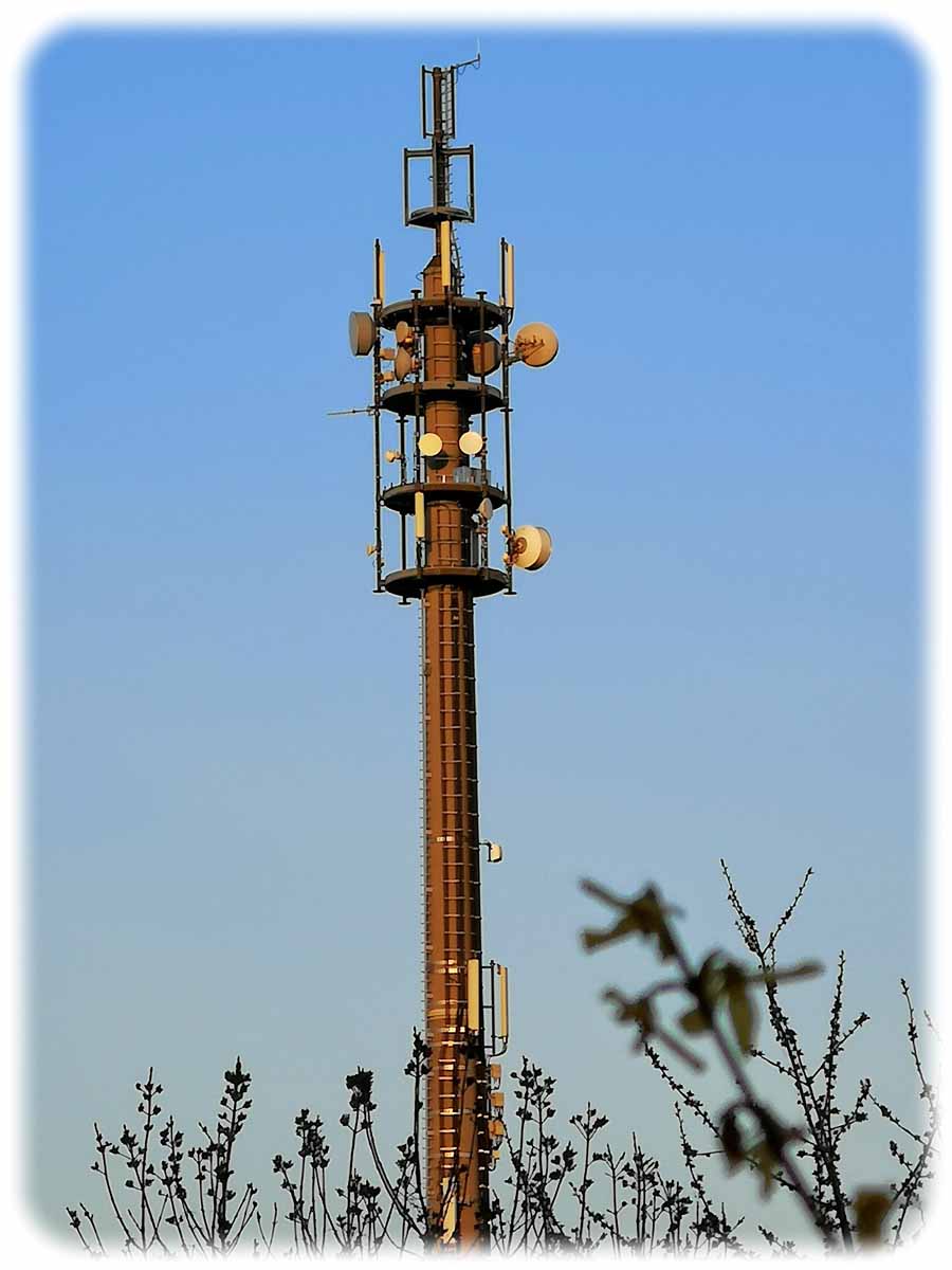 Dieses Themenfoto zeigt einen Mobilfunkmasten am südöstlichen Stadtrand von Dresden. Foto: Heiko Weckbrodt