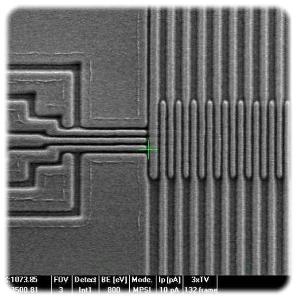 Nanostrukturierung für Silizium-Qubits aus dem 300-mm-CMOS-Reinraum des Fraunhofer IPMS. Mikroskop-Foto: Fraunhofer IPMS