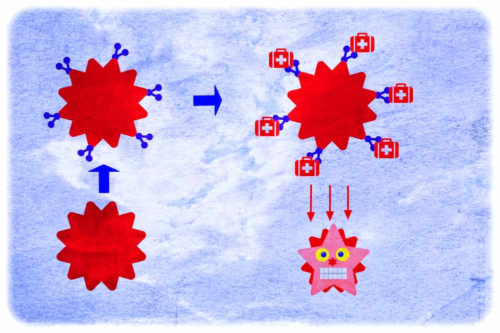 Die Nanokugeln aus Eisenoxiden (links unten) werden zunächst mit silizium-organischen Haft-Molekülen beschichtet (links oben), die dann mit den Krebsmedikamenten beladen werden (rechts oben). Wenn sie in eine leicht säuerliche Umgebung mit dem pH-Wert 5,5 gelangen, wie sie für Krebszellen (rechts unten) typisch sind, setzen sie das Medikament frei. Grafik: Heiko Weckbrodt