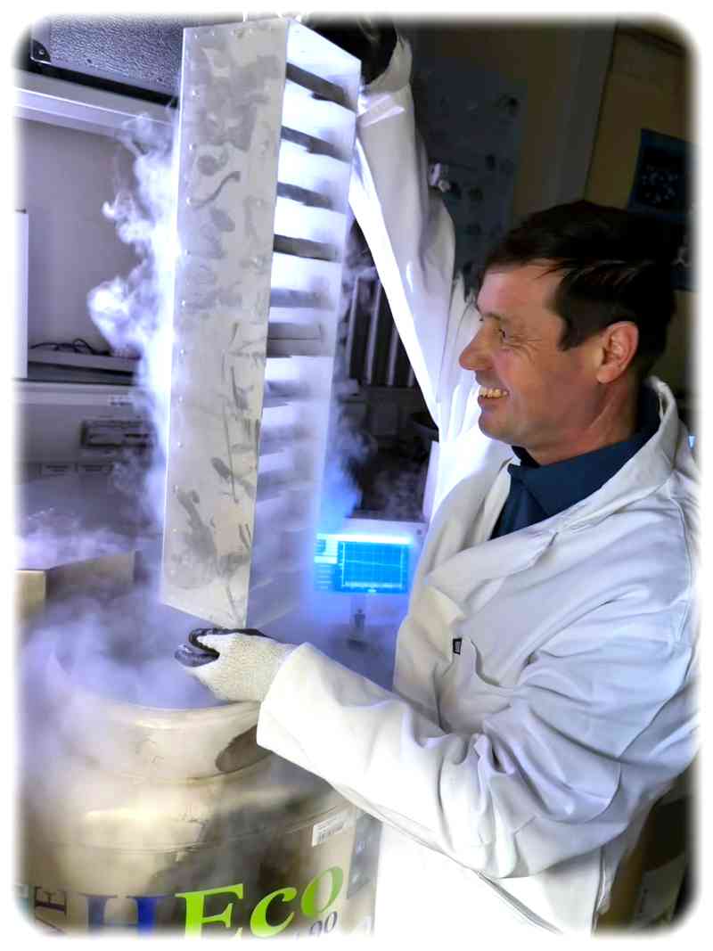 Ronald Naumann untersucht Mäusespermien, damit weniger Tiere für Experimente gezüchtet werden müssen. Foto: Ronald Naumann via MPI-CBG