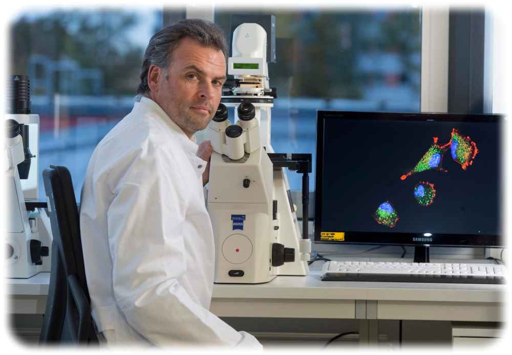 Prof. Nils Cordes leitet die Strahlenbiologie im Dresdner "Oncoray"-Zentrum. Er erforscht unter anderem die biologischen Zelleigenschaften von Glioblastomen. Foto: Rainer Weisflog für das HZDR