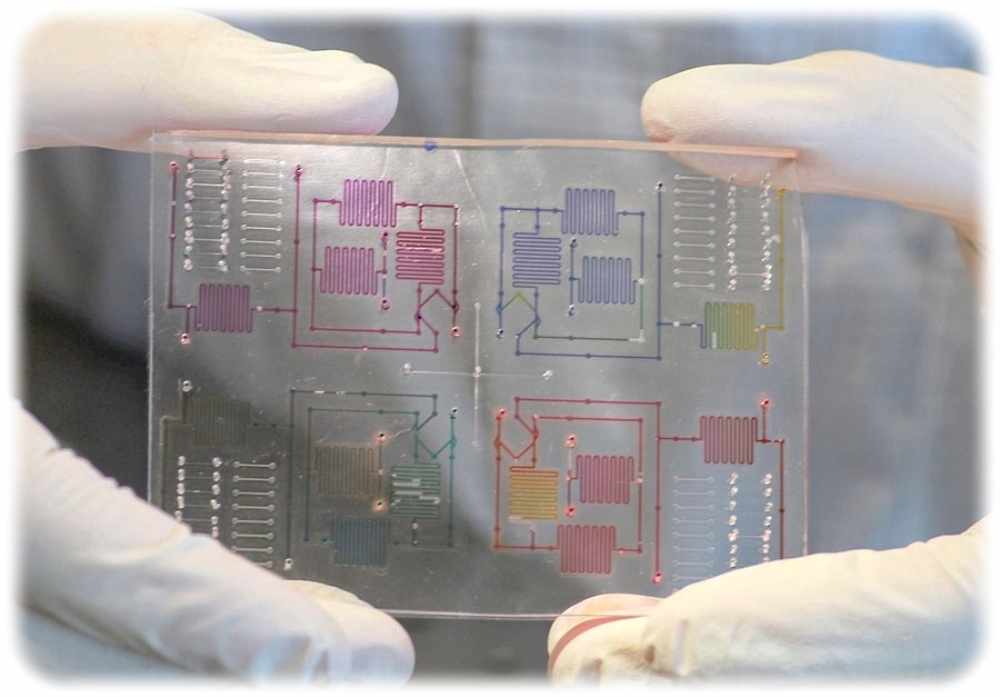 So etwa könnte das "Mikrolabor" für den geplanten neuen PCR-Schnelltest für Corona aussehen. Foto: TUD