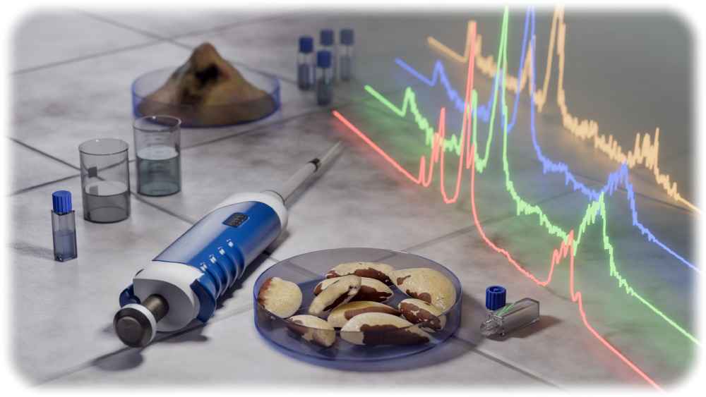 Mit Laserfluoreszenz-Sspektroskopie und weiteren Analysemethoden haben die Dresdner Forscherinnen die Aufnahme verschiedener Elemente aus Paranüssen im Verdauungsssystem untersucht. Abb.: B. Schröder für das HZDR