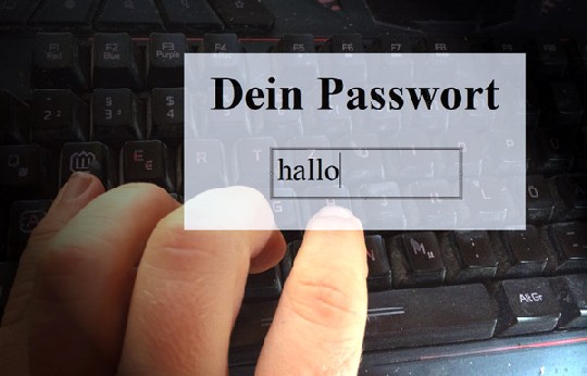 Simple Passwörter, die mit einem Lexikon-Angriff ermittelt werden können, machen Hackern das Handwerk einfach. Foto/Montage: Heiko Weckbrodt