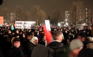 Pegida-Demo auf der "Cockerwiese". Foto: Peter Weckbrodt