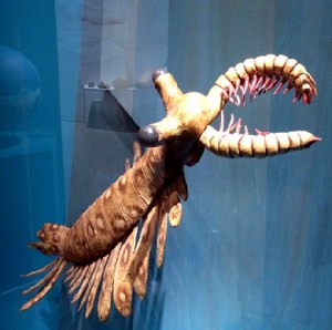 Die Tiermodelle wirken durch ihre Größe. Foto: Heiko Weckbrodt