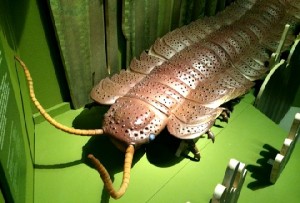 Ein ausgestorbener Tausendfüßler wurde für die Schau "Planet 3.0" ins Riesige vergrößert. Foto: Heiko Weckbrodt