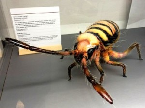 Im Original nur drei Millimeter groß: der Springschwanz. Foto: Heiko Weckbrodt