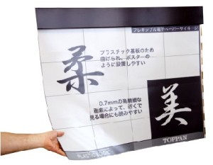 Biegsam: Der organische 42-Zoll--Bildschirm von Plastic Logic und Toppan. Foto: Plastic Logic