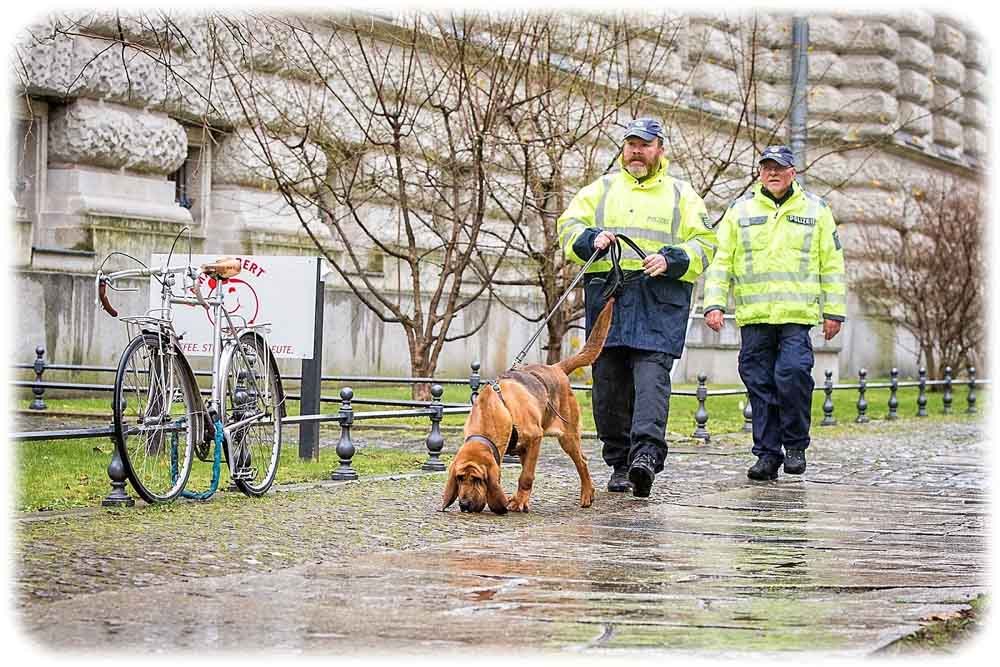 Hundeführer mit einem Bluthund. Foto: Polizei Sachsen