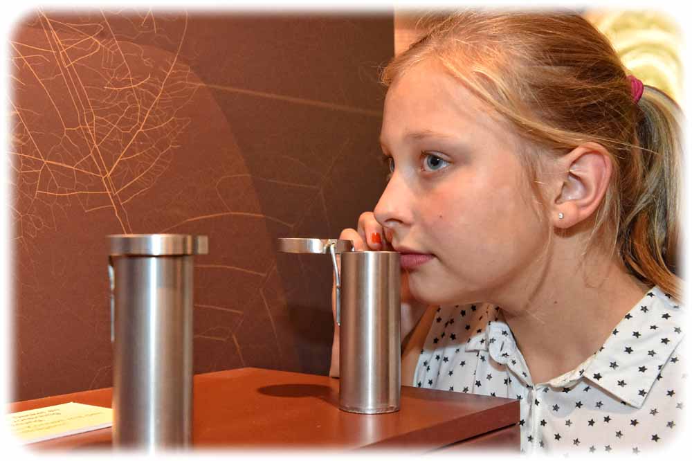 Wie riecht Benzol in der Erde? Eine junge Besucherin probiert die olfaktorische Station in der "Boden"-Ausstellung von Senckenberg aus. Foto. Sven Tränkner für Senckenberg