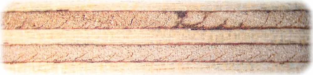Die Nahaufnahme zeigt die Abfolge von Holzschichten und Bindemitteln in den neuen Verbundsperrholz. Foto: TUD