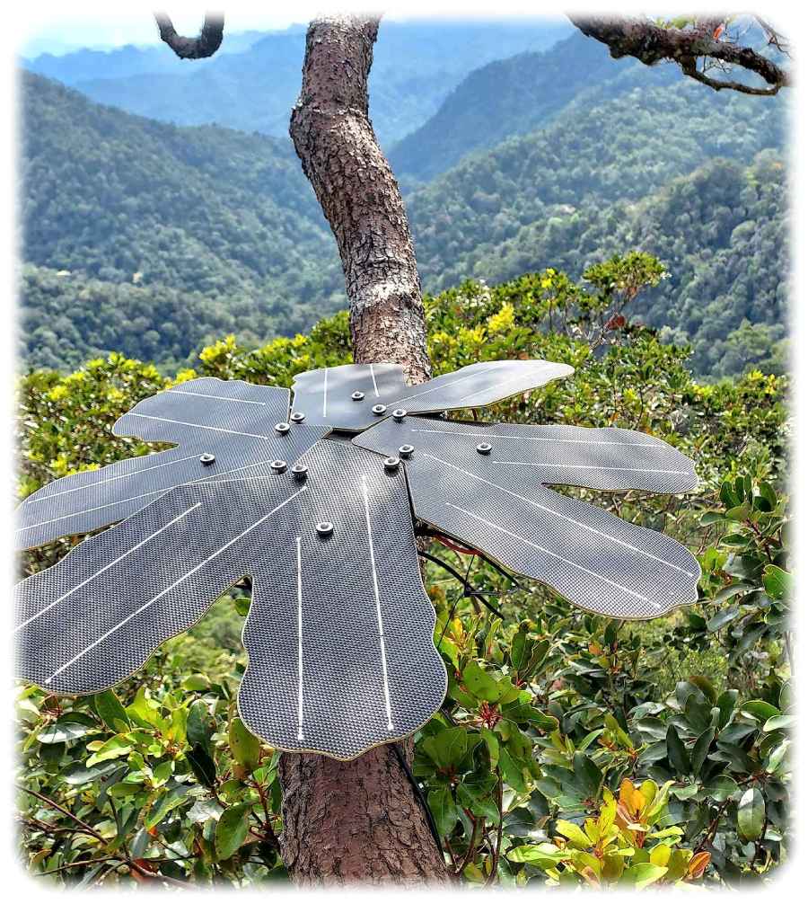 So sehen die "Guardians" aus, die in Regenwäldern mit Sensoren auf verdächtige Geräusche und Gerüche achten. Foto: Rainforest Connection