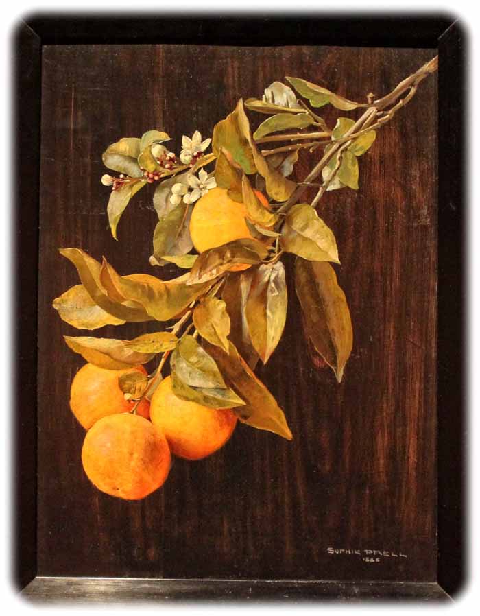 Sophie Prell (1855-1940) Orangenzweig, 1880, wie die Menschen und die Landschaften, übten auch die südlichen Früchte großen Reiz auf die Besucher aus dem Norden aus. Repro: Peter Weckbrodt