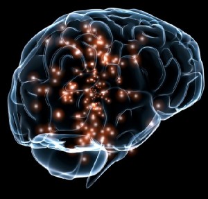 SUBNETS soll das Zusammenwirken verschiedener Hirnregionen modellieren. Abb.: DARPA