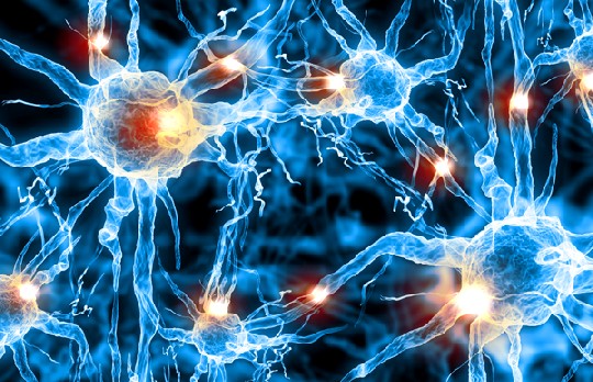 Die Neuronen-Netze im Gehirn geben der Wissenschaft immer noch unzählige Rätsel auf: Von einem Gesamtverständnis der komplexen Prozesse im menschlichen Gehirn sind die Forscher noch weit entfernt. Abb.: DARPA