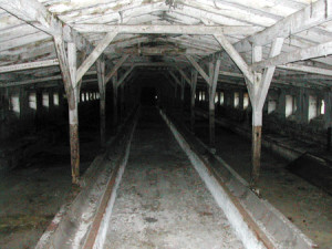 Geradezu trostlos der Blick in die geräumten Ställe. Foto: Peter Weckbrodt