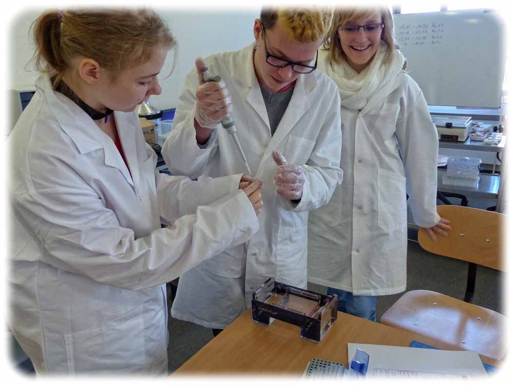 Im Schülerlabor DeltaX in Dresden-Rossendorf untersuchen die Jungen und Mädchen, wie Strahlen auf biologische Zellen wirken. Foto: HZDR