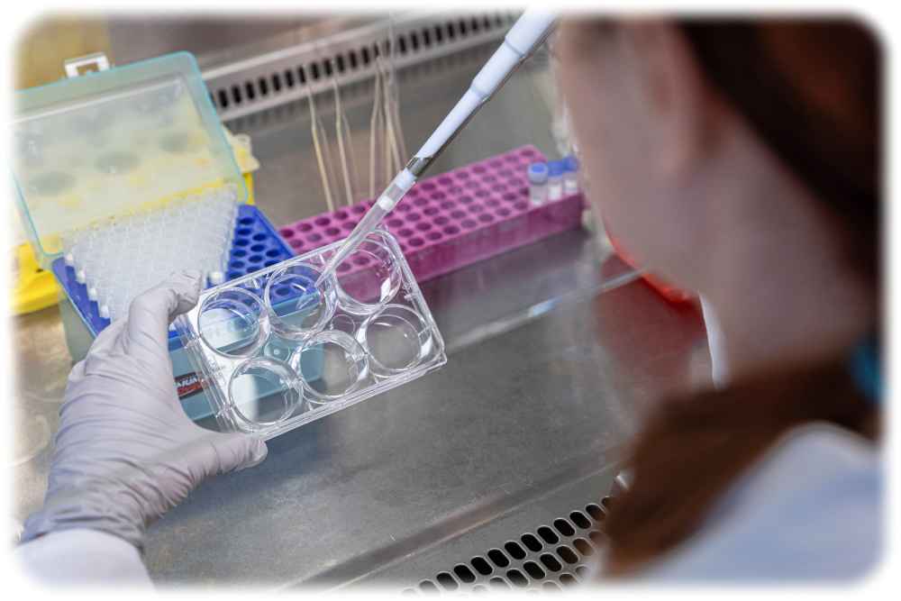 Eine Mitarbeiterin pipettiert im Labor von Seamless Therapeutics Dresden. Foto: S.Rose Fotografie für Seamless Therapeutics