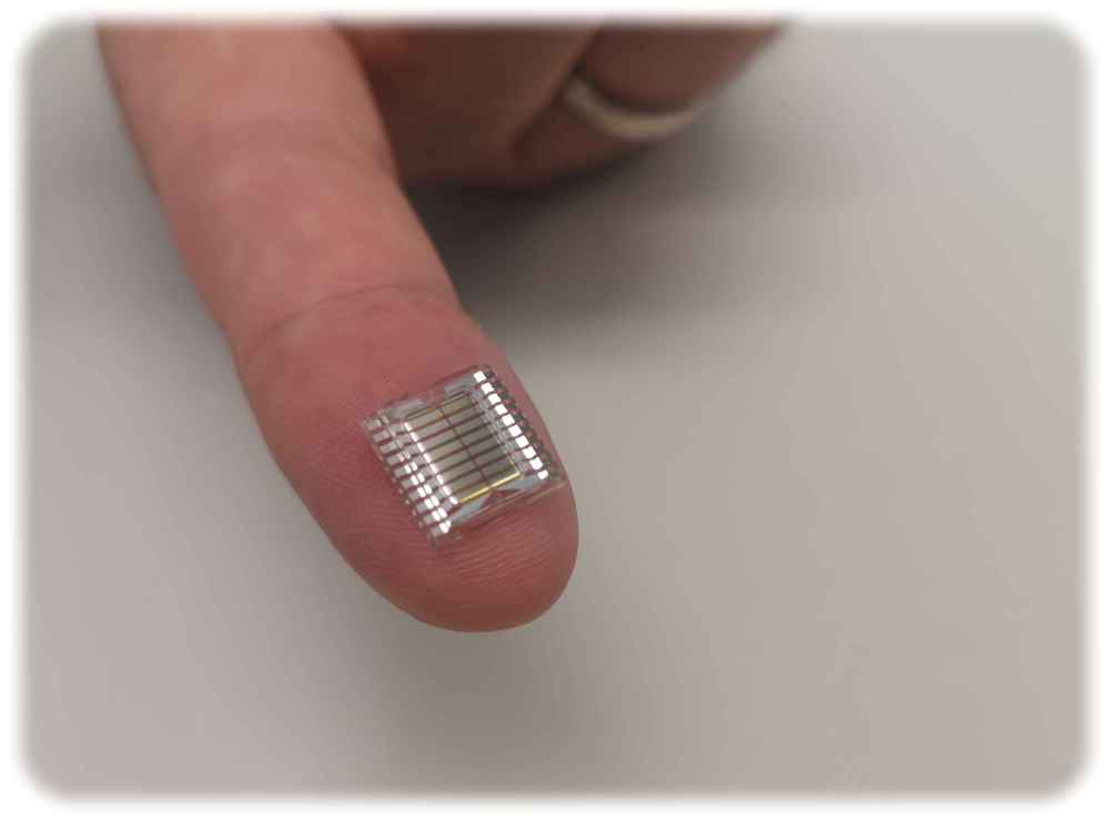 Organischer Sensor von Senorics im Größenvergleich auf einer Fingerkuppe Foto: Heiko Weckbrodt