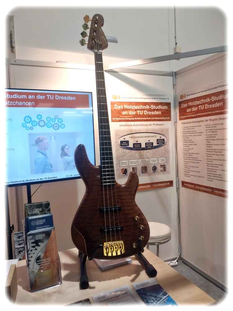 Edelholzfreie Gitarre, an deren Entwicklung die TU Dresden beteiligt war. Foto: Heiko Weckbrodt