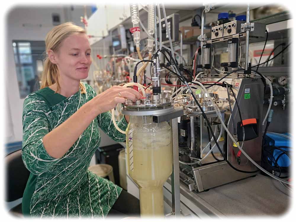 Forscherin Julia Emmermacher überprüft im Institut für Naturstofftechnik der TU Dresden einen Bioreaktor, in dem sie die Ausgangsstoffe für innovative naturnahe Holzschutzmittel züchtet. Foto: Heiko Weckbrodt