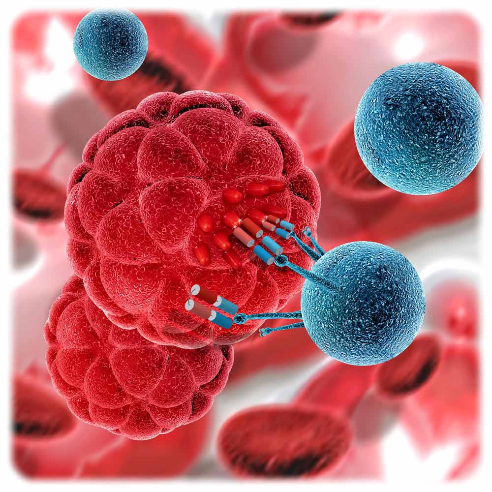 Speziell designte Antikörper sollen dem Immunsystem im Kampf gegen Krebs und Corona auf die Sprünge helfen. Die Vision: Die künstlich hergestellten Proteine docken an die Oberfläche von Immunzellen an. Das andere Ende des Antikörpers bindet an die Krebs- oder Coronazellen und lenkt so die bis dahin untätigen Abwehrkräfte zum Tumor. Visualisierung: HZDR / Sahneweiß / Kjpargeter, Freepik