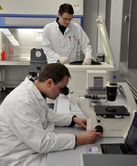Blick in das neue Forschungslabor der UroTiss GmbH im Bioinnovationszentrum am Tatzberg.