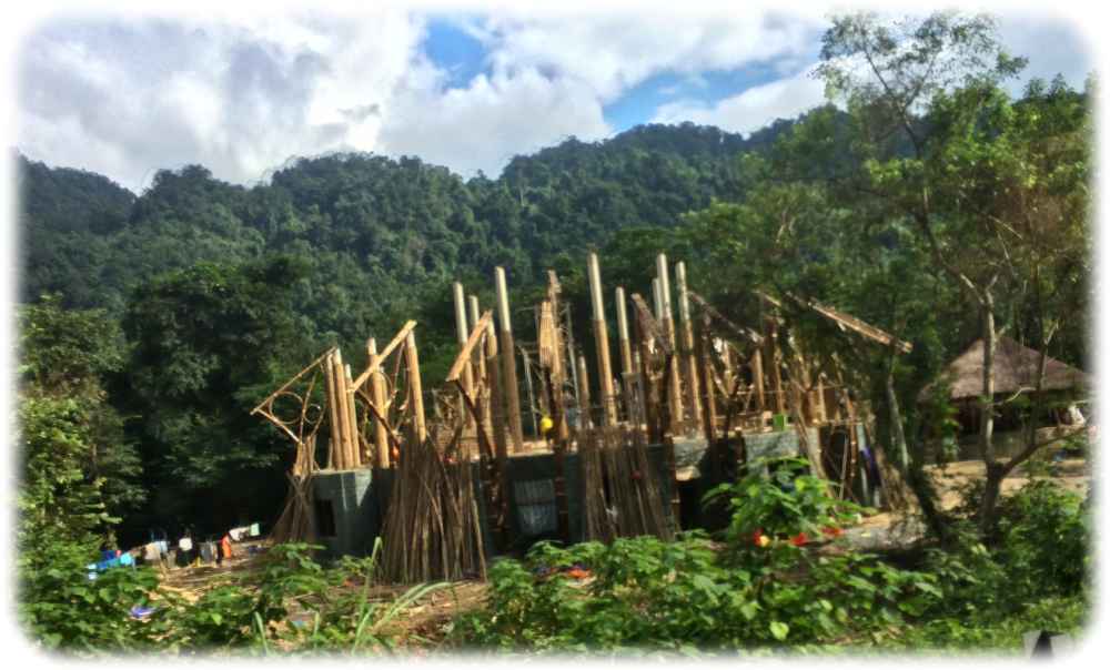 Beispiel Vietnam: Neben Krieg und Landwirtschaft schädigt auch individueller Raubbau - etwa für den Hausbau - und mangelndes Bewusstsein für den Wert von Naturschutz zu Entwaldungen. Foto: Heiko Weckbrodt