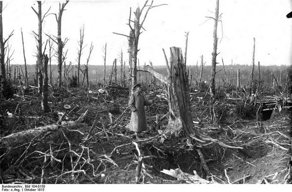 Ein Offizier inspiziert 1915 den völlig zerbombten Wald von Argonne - bis heute hat sich die natur in Frankreich vielerorts vom I. Weltkrieg nicht erholt.