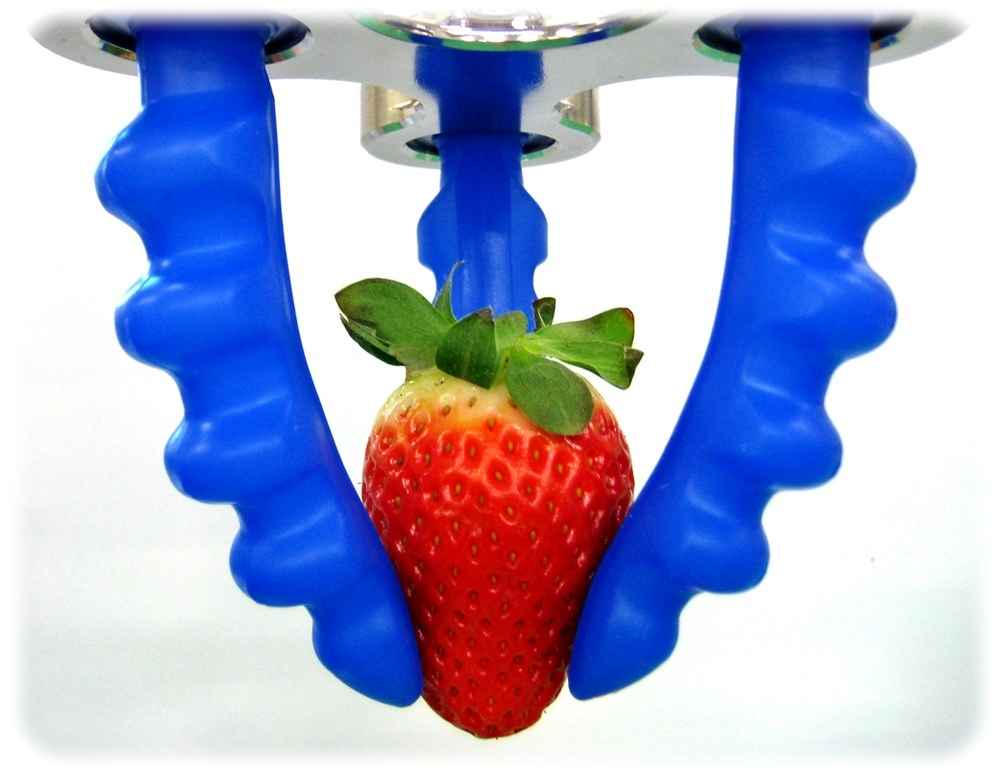 Das Fraunhofer IVV arbeitet unter anderem auch an Roboter-Greifer, die Obst sortieren, ohne es zu zerquetschen. Foto: Fraunhofer IVV