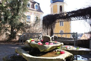 Morgenstimmung im Park des Landschlosses Zuschendorf. Foto: Peter Weckbrodt