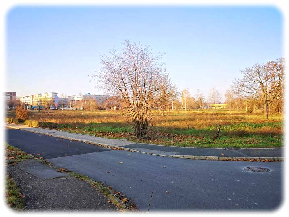 Zwischen Reicker Straße und Bahndamm in Dresden sollen der Wissenschaftspark Ost und ein Technologiezentrum entstehen. Im Hintergrund ist das ODC zu sehen. Foto: Heiko Weckbrodt