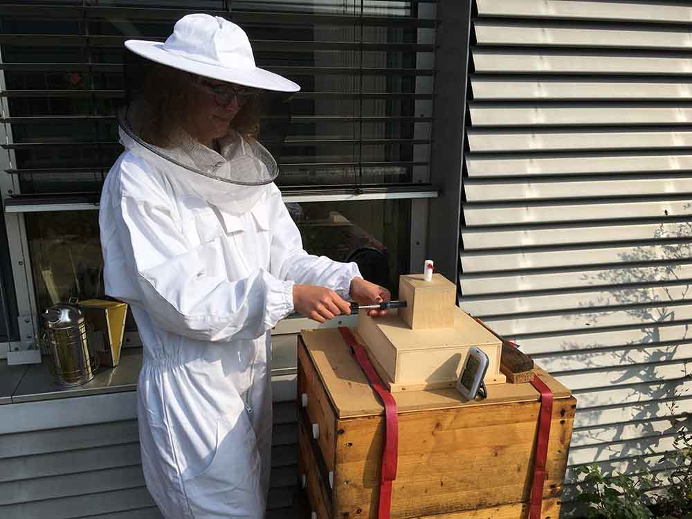 50 verschiedene Substanzen konnten die Forscher der TU Dresden bislang in der Bienenstockluft identifizieren, der heilende Kräfte zugeschrieben werden. Foto: Cindy Henker