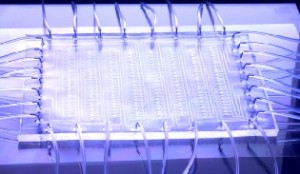 Chemischer Prozessor. Abb.: Rinaldo Greiner, TUD