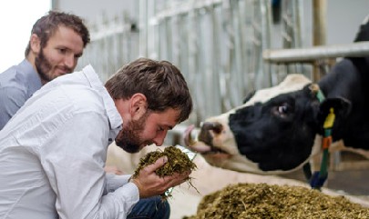 Die Fodjan-Gründer Carsten Gieseler (vorn) und Michael Schütze überzeugen sich im Stall davon, dass den Kühen das von ihrer Software gemixte Futter auch schmeckt. Foto: Fodjan