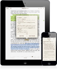 Das iPad ist als eBuch-Lesegeräte vor allem für jene zu empfehen, die sowohl Leih-eBooks, gekaufte, kostenlose wie auch Kindle-Bücher lesen wollen, da inwzischen über Apps fast alle Formate unterstützt werden. Foto. Apple