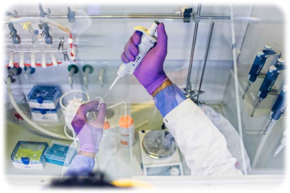 Dr. Alvin Thomas von Denovomatrix stellt Biomaterialien im Labor her. Foto: Magdalena Gonciarz