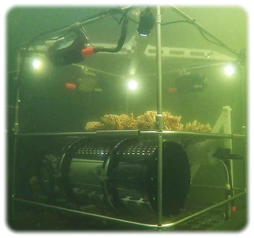 Das mobile Unterwasser-Labor "Minilab" von Fraunhofer testet unter Wasser neue Sensoren und Materialien. Foto: Fraunhofer-IKTS und -SOT