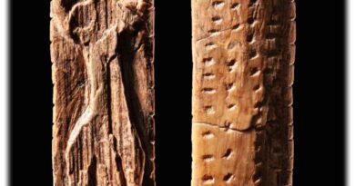 „Adorant“ aus der Geißenklösterle Höhle ist rund 38.000 Jahre alt. Die Anordnung der Markierungen lässt auf ein Notationssystem schließen, insbesondere die Reihen von Punkten auf der Rückseite der Platte. Foto: Hendrik Zwietasch für das Landesmuseum Württemberg, Lizenz: CC BY 4.0