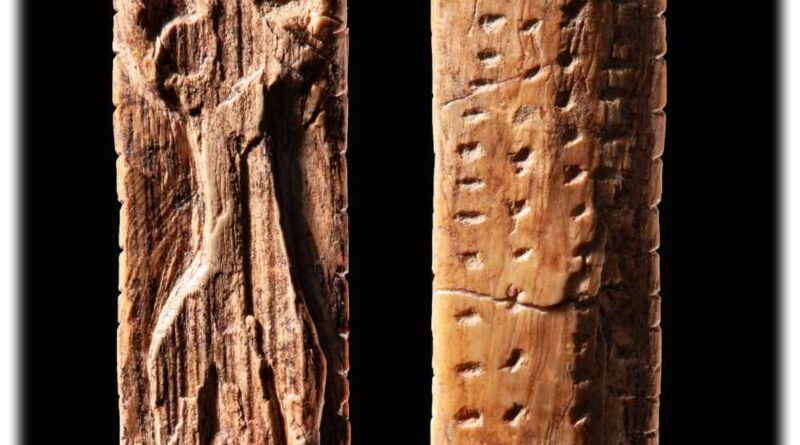 „Adorant“ aus der Geißenklösterle Höhle ist rund 38.000 Jahre alt. Die Anordnung der Markierungen lässt auf ein Notationssystem schließen, insbesondere die Reihen von Punkten auf der Rückseite der Platte. Foto: Hendrik Zwietasch für das Landesmuseum Württemberg, Lizenz: CC BY 4.0