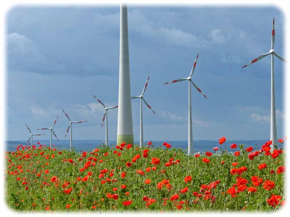 Windenergie ist besonders im Norden Deutschlanbds ein etragreiches Geschäft. Quelle: Bundesverband Windenergie